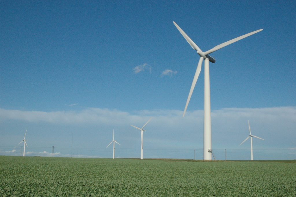 Elektrituulikud. Allikas: Wikimedia Commons. Autor: Tom Corser