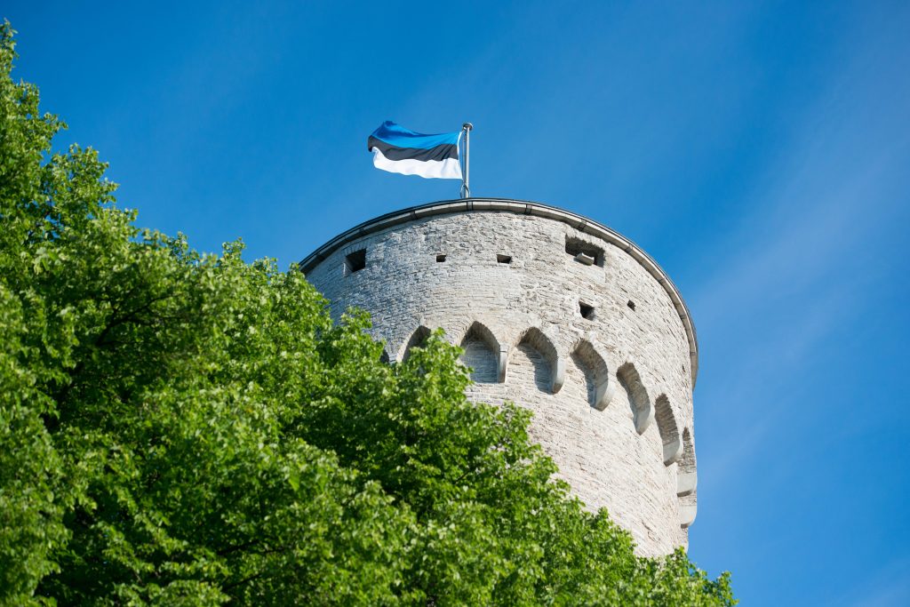 Eesti lipp, Pikk Hermann