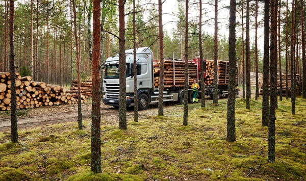 puidu väljavedu metsast