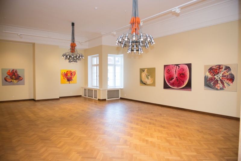Kamille Saabre 2014. aasta näituselt “Tutti frutti”